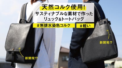 main_16528.jpg?version= 