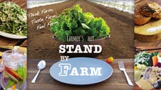 朝どれ野菜のオーガニックバル！銀座『STAND BY FARM』食べ飲み放題会員