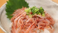 駿河湾の宝石、桜えび。小さな食堂さくらやの名物、新鮮な「生桜えび丼」をご自宅で！