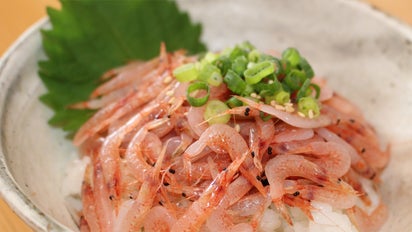 駿河湾の宝石、桜えび。小さな食堂さくらやの名物、新鮮な「生桜えび丼