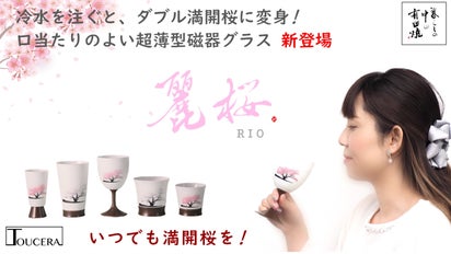 有田焼】冷水を注ぐとダブル満開桜に変身！口当たりのよい超薄型磁器