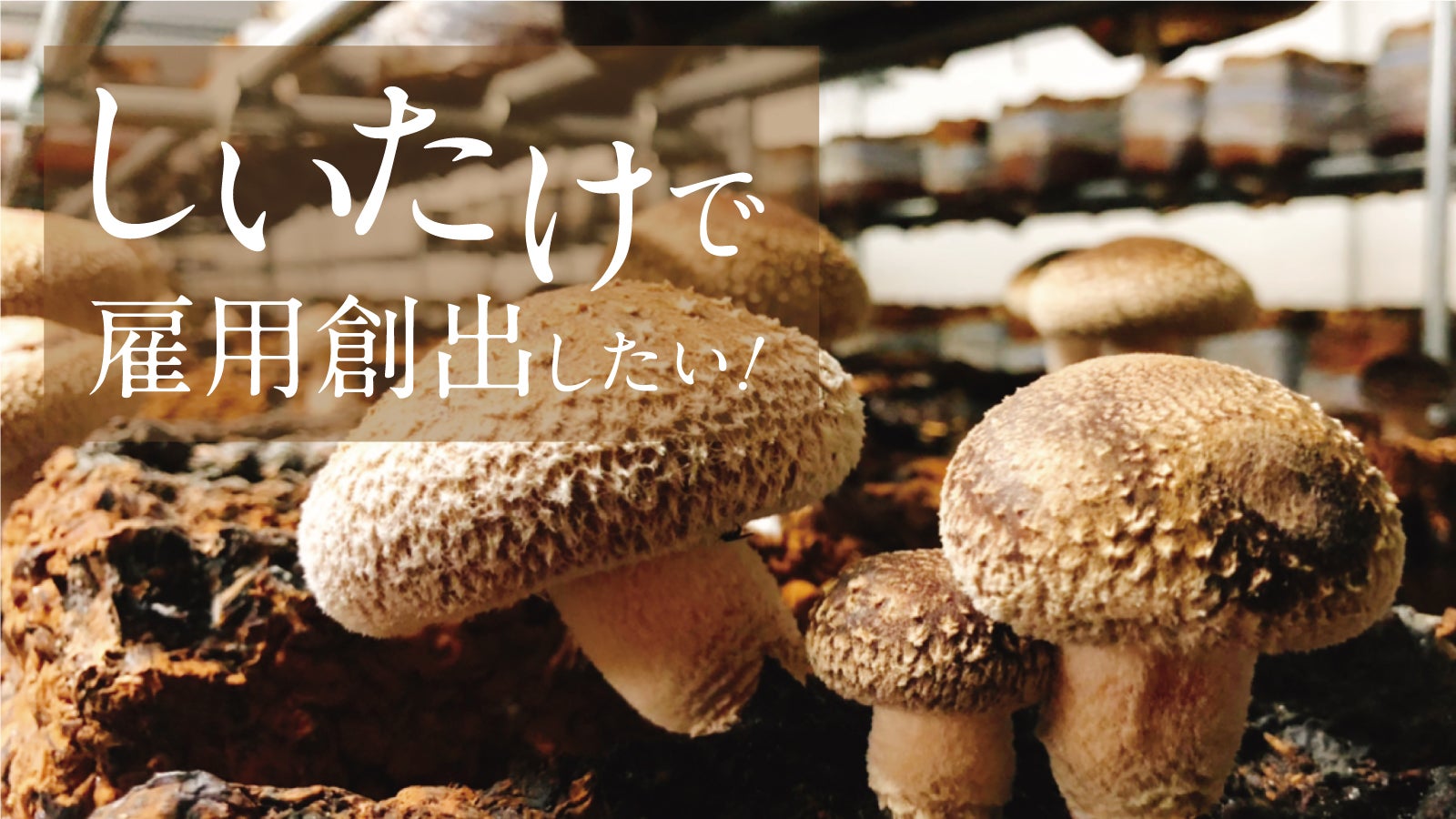 完成品確認ページ 】しいたけ様 【公式通販】
