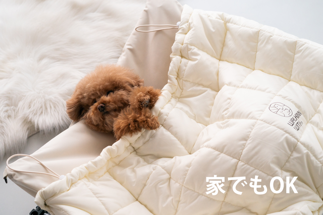 風と寒さから愛犬を守る、高さ調節可能な愛犬用椅子 「DUPJA」登場