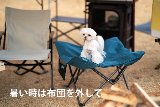 【格安】ペット用あったかベッド椅子 「DUPJA」 風と寒さから愛犬を守る、高さ調節可能な愛犬用椅子 「DUPJA」登場