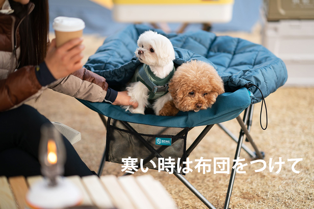 【格安】ペット用あったかベッド椅子 「DUPJA」 風と寒さから愛犬を守る、高さ調節可能な愛犬用椅子 「DUPJA」登場