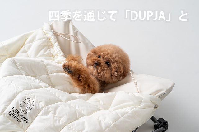 【格安】ペット用あったかベッド椅子 「DUPJA」 風と寒さから愛犬を守る、高さ調節可能な愛犬用椅子 「DUPJA」登場