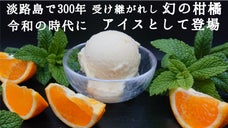 大人の淡路島アイス｜独特の&ldquo;香り・酸味・苦み&rdquo;の淡路島なるとオレンジアイス。