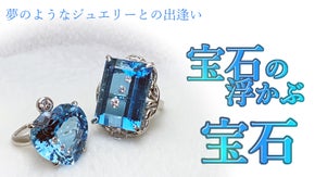 【宝石の埋め込まれた宝石】 ジュエリーショップ会員募集