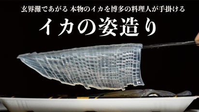 食べる喜びが溢れ出る！】玄界灘で獲れる 