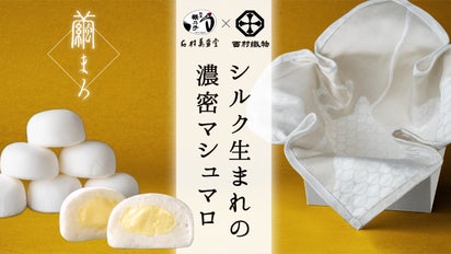 【専用出品】あるまろまろす様 😄専用商品😄