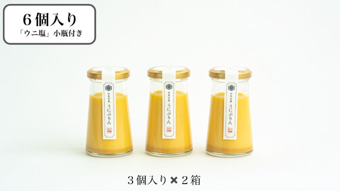 ウニ漁師も絶賛！新感覚デザート「うにぷりん」を小さな町の新名物に