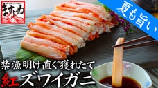 境港の紅ズワイ蟹、禁漁明け9月獲れたて・剥きたて・出来たて、ますよねが新鮮お届け
