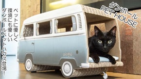 &ldquo;イタリア発&rdquo; ダンボールペットハウスが日本上陸！エコ素材でインテリアとしても！