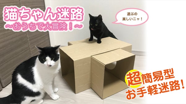 【猫ちゃん迷路～おうちで大冒険！～】組み合わせ自由な迷路で猫ちゃんと遊ぼう！！