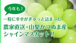 今年も！！農家に元気を届けたい！！スマイルアゲイン・つなぐシャインマスカット計画