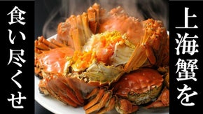 特大上海蟹を贅沢に2～3匹使用。極上の上海蟹フルコースを業界激震の価格でご用意