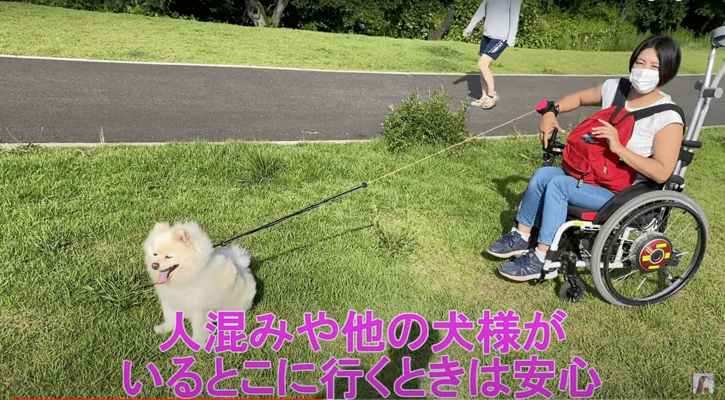 犬好き必見！】ペットお散歩用 両手が使えるリード Lishinuリシニュー3