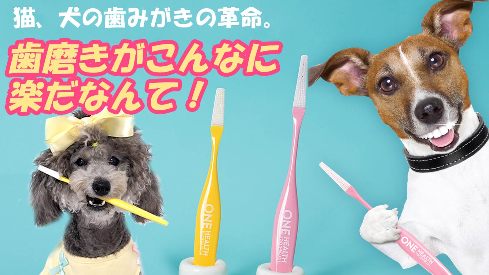 ペットの口腔内の特性を考慮して作られたペット専用歯ブラシ「ONE
