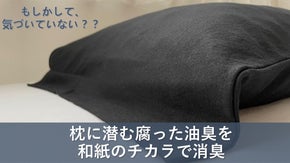 和紙のチカラ。ニオわず！サラッと！墨田発 和紙テック枕カバー