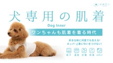 雨の日の『におワン』犬のカッパがくさくなりにくい肌着。