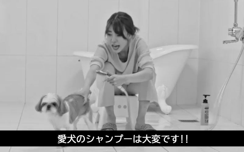 シャワーヘッドをお好きな位置に自由自在に固定できる！シャワーフリー