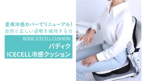 夏用にリニューアル！正しい姿勢サポート「バディクICECELL冷感クッション」！