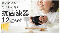 お皿洗いを楽にしたい！軽くて割れにくい！【抗菌漆器12点セット】