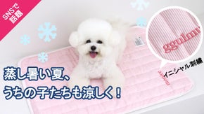 犬も夏は暑すぎる！ペットも喜ぶレーヨン素材のひんやりクールマット！