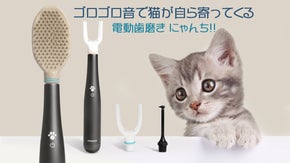 ゴロゴロ音とキャットニップ配合で猫が嫌がらない歯磨き！1日1回「にゃんち習慣」