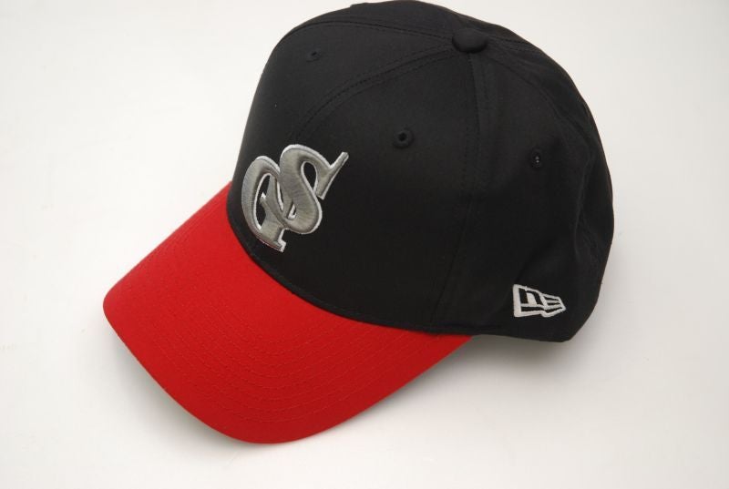 信濃グランセローズ　初シーズン終了記念　全選手サイン入りホームベース チームメンバー・選手情報｜信濃グランセローズ｜ルートインBCリーグ