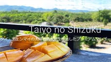 一度食べたらきっとあなたも&ldquo;トリコ&rdquo;になる。日本未発売マンゴー『太陽の雫』