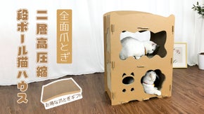 年間5万個以上売上！大人気の「RAKU」猫爪とぎ段ボールハウス進級版が遂に登場！