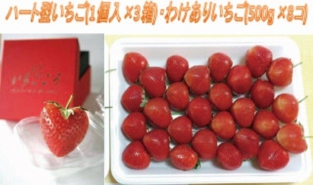 こだわり抜いた、より大きな究極のハート型のいちご「いちごころ」を 