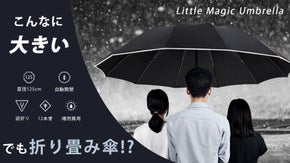 125cmのラージサイズ、風にも強く1年中大活躍のワンプッシュ折りたたみ傘。