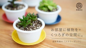 水はけ良好。多肉植物にもミニ観葉植物にも◎な受皿付きアミ型フラワーポット。