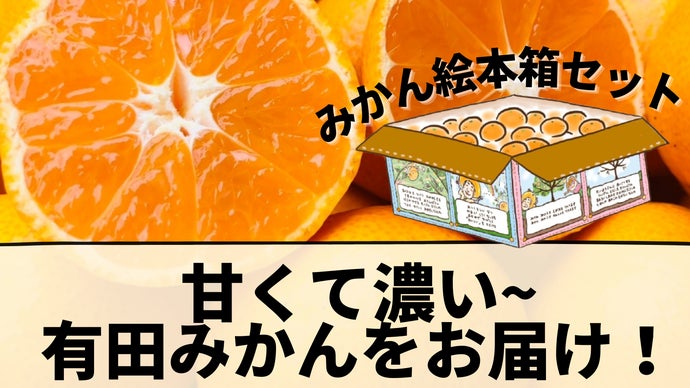 まるで食べるみかんジュース！？甘くて濃い和歌山名産の有田みかんを