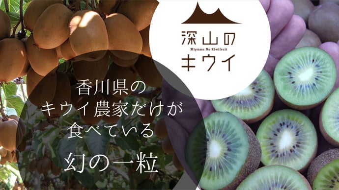 キウイ花粉（純花粉）約20g キウイ花粉（純花粉）約20g 【公式通販】