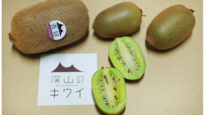 キウイ花粉（純花粉）約20g キウイ花粉（純花粉）約20g 【公式通販】