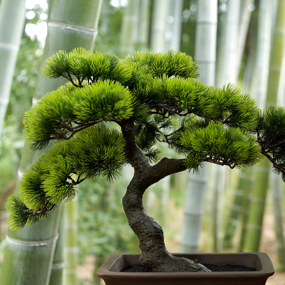 心が洗われる美しい和空間】日本の伝統を彩った人工盆栽。水やり手入れ