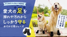 長い間、健康に楽しいお散歩をナックルンHEROでサポートします！