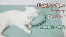 【高級ホテルのベッドから誕生した】犬や猫のための毛が付かない&ldquo;LUNA&rdquo;布団＆枕