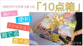 ファッション・食べる・育てる・脳トレ・便利・全部で１０商品が入った「１０点箱」