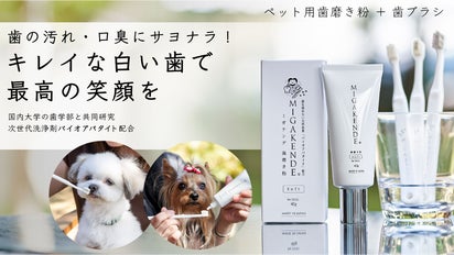 愛犬の健康を維持！研磨剤不使用、無添加の犬用「ミガケンデ歯磨き粉