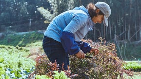 鎌倉発！暮らす街で採れた季節の食をいただく『身土不二』という考えを大切に。