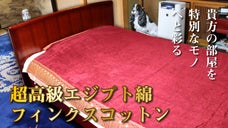 WORLD COTTONエジプト綿第2弾 貴方の部屋を幻想的な空間へと彩るケット