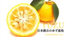 いよいよ「旬」到来！「日本最古のゆず産地」から農家が香り高い「ゆず」を届けます！