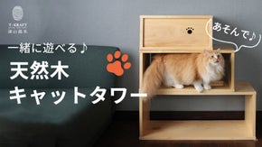 猫ちゃんとのコミュニケーションが増える！？ 天然木使用の高品質キャットタワー