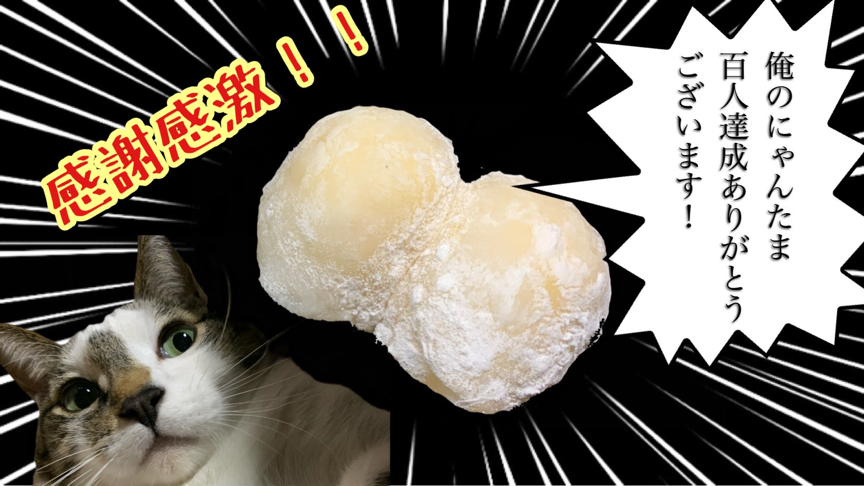 新感覚大福】俺のにゃんたま 〜4種の猫で4つの味〜 コミュニケーション