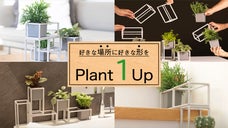 好みの場所とデザインでインドアガーデンが楽しめる！変幻自在のマグネットプランター