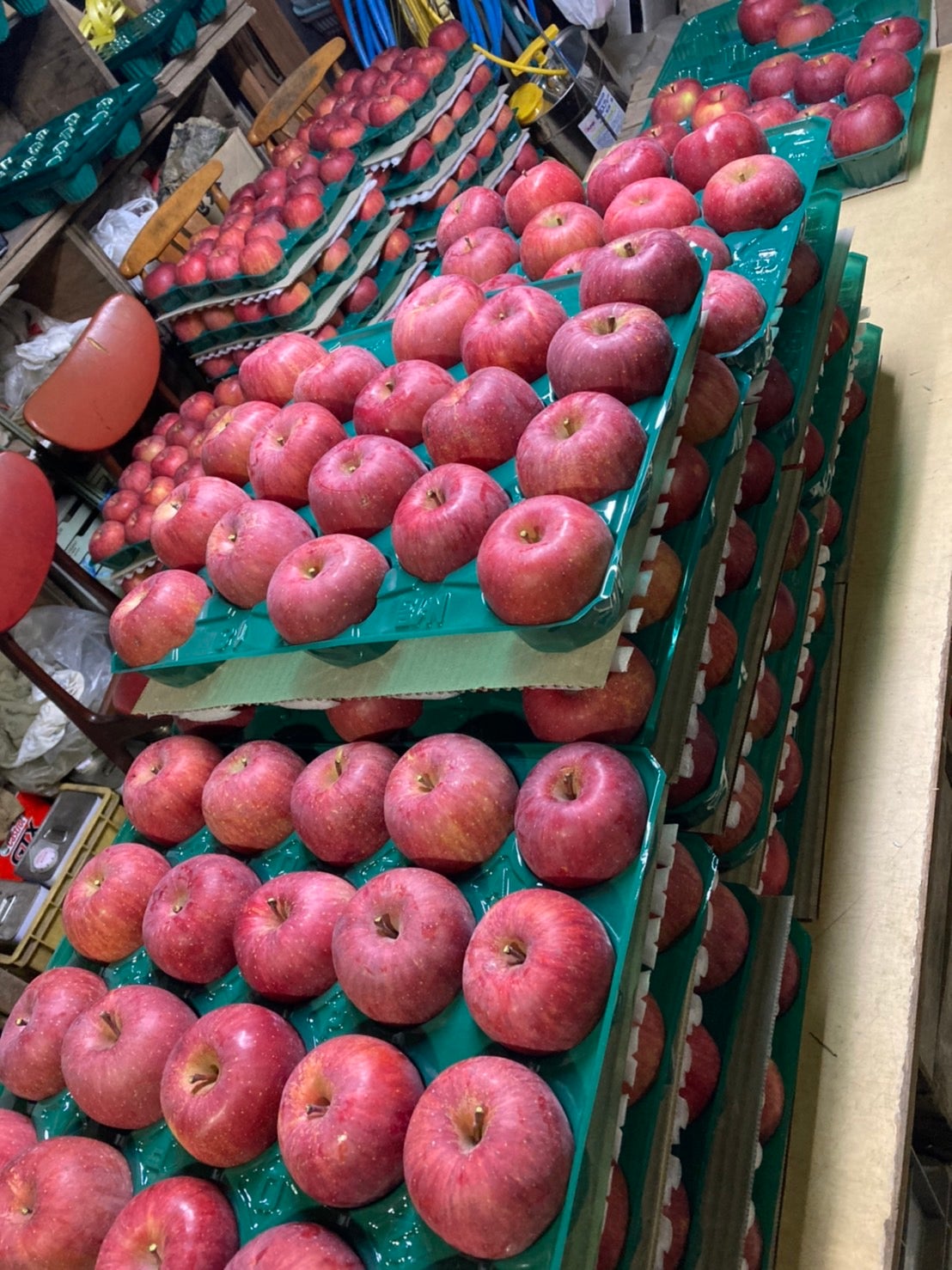 Makuake｜【りんごオーナー×サンふじりんご】長野県から届けるりんご界